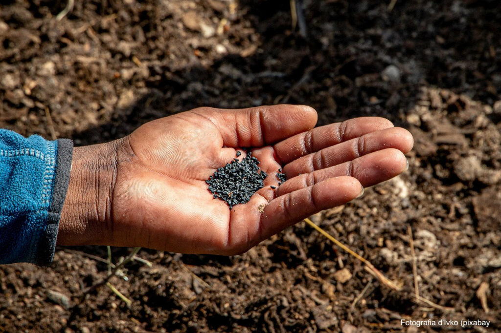 Guardians de l’esperança