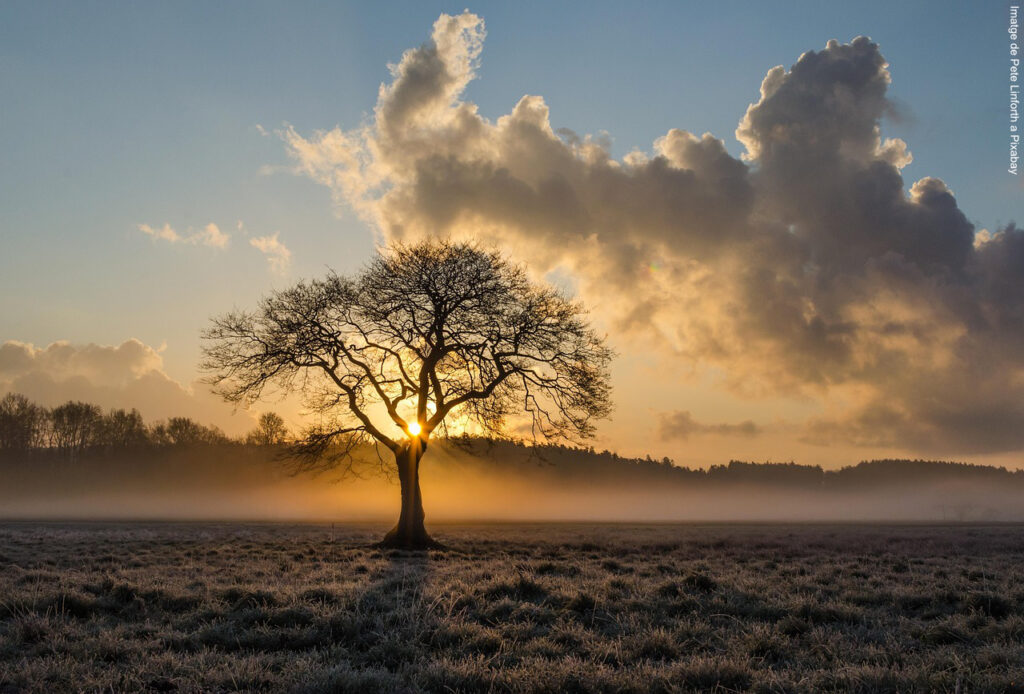 Esperanza, deber, incertidumbre Imagen de Pete Linforth en Pixabay